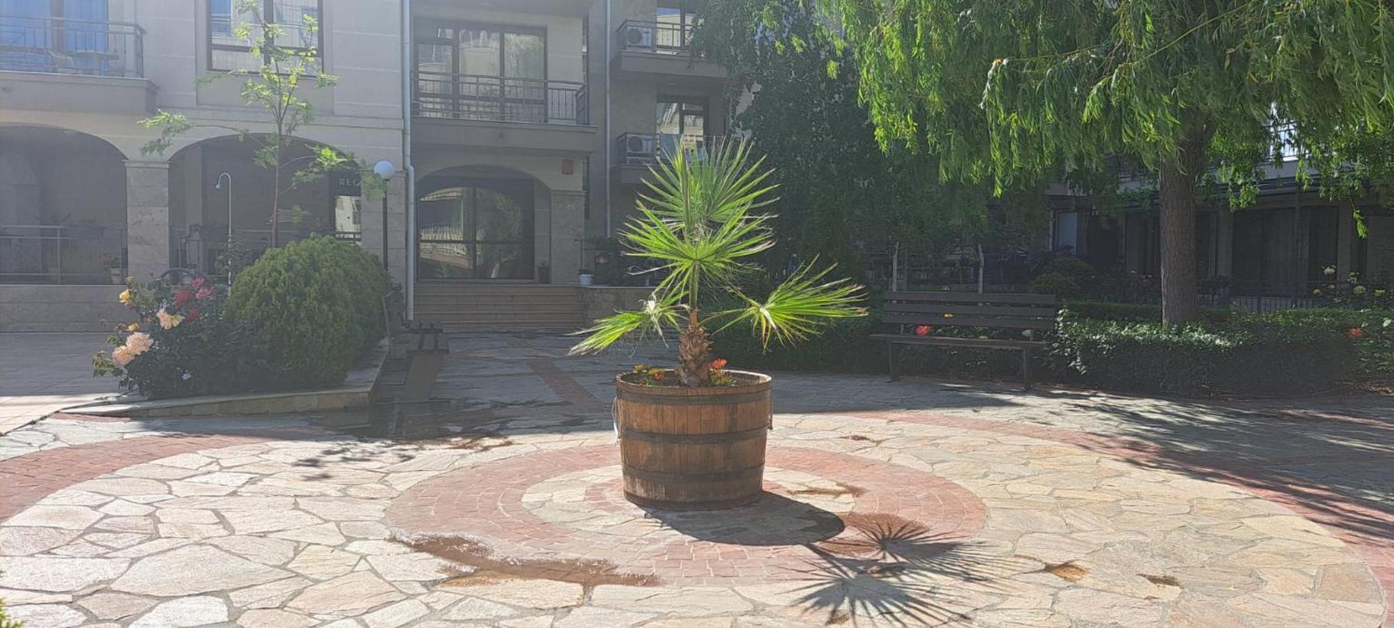 Patrick'S Apartments - Sorrento Sole Mare, 圣弗拉斯 外观 照片