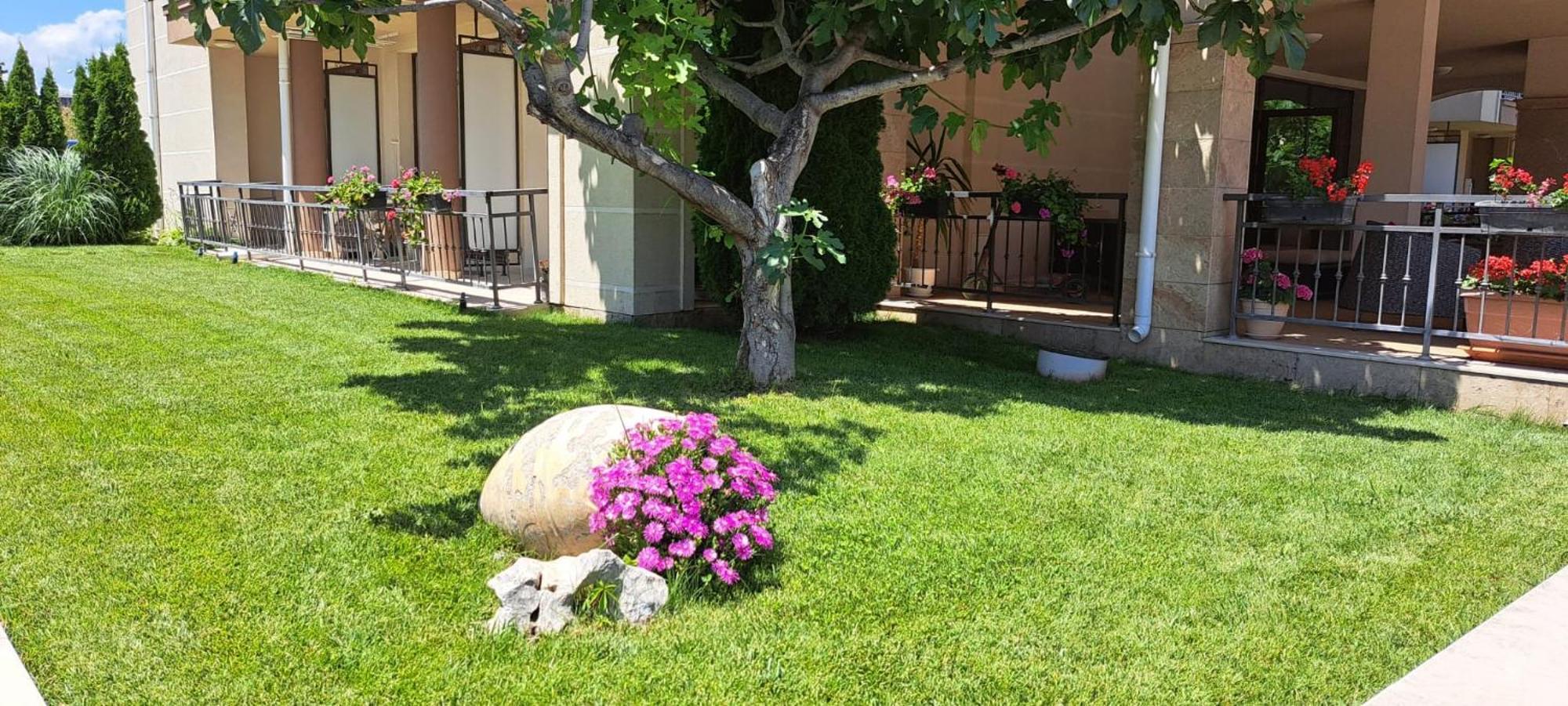 Patrick'S Apartments - Sorrento Sole Mare, 圣弗拉斯 外观 照片