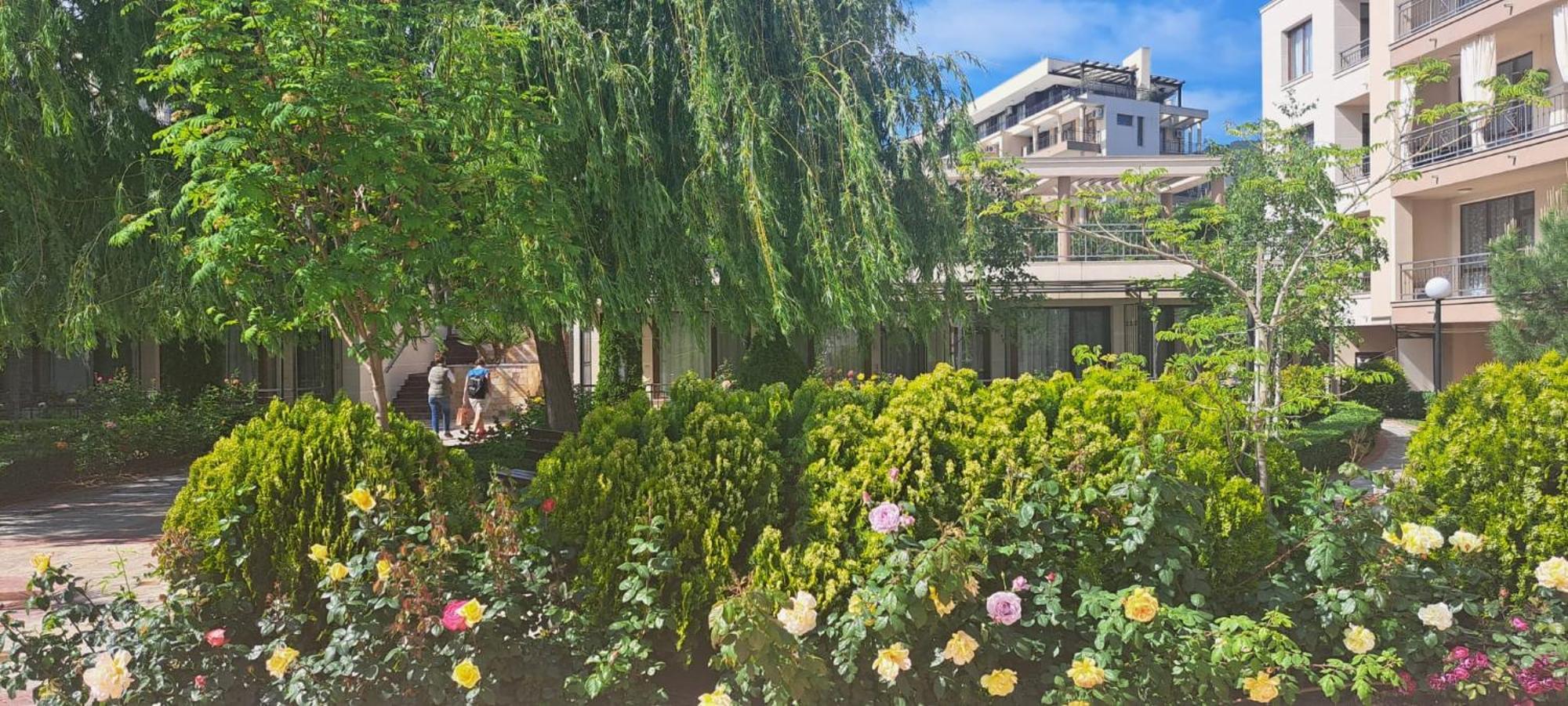Patrick'S Apartments - Sorrento Sole Mare, 圣弗拉斯 外观 照片
